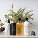 Dog Conditioner Paperbark & Lemongrass in zwei Grössen von Bondi Wash