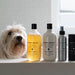 Dog Conditioner Paperbark & Lemongrass in zwei Grössen von Bondi Wash