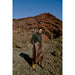 Jeanshemd «KANOA» in Black Denim von b.young