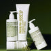Eucalyptus smoothing body gel von Malin + Goetz