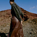 Jeanshemd «KANOA» in Black Denim von b.young
