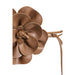 Flower Belt in braun von b.young
