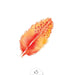 Tattoos «ORANGE FEATHER» von Sioou