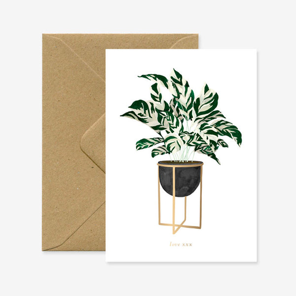 Karte «Calathea plant» von All the ways to say