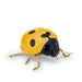 Ladybird in yellow  von Laboratório d'Estórias