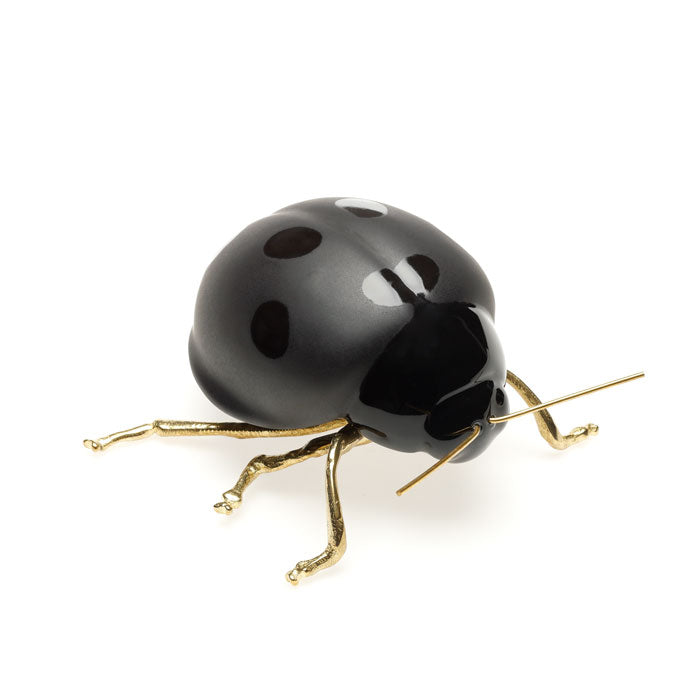 Ladybird in black von Laboratório d'Estórias