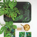 Tray «Monstera» medium von All the ways to say