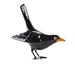 Blackbird vertical tail in black von Laboratório d'Estórias