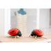 Ladybird in red von Laboratório d'Estórias